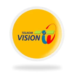 Vision