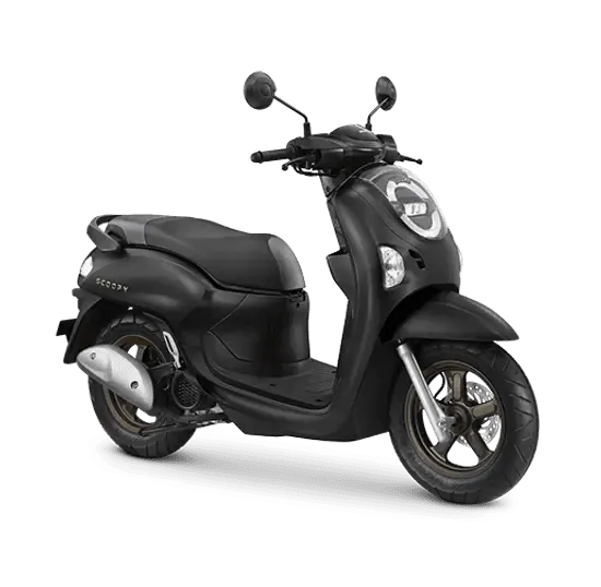 Scoopy