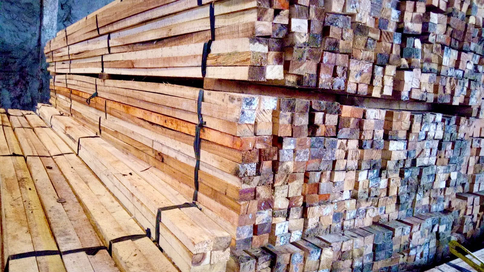 WhatsApp Image 2025-11-05 at 14.40.37