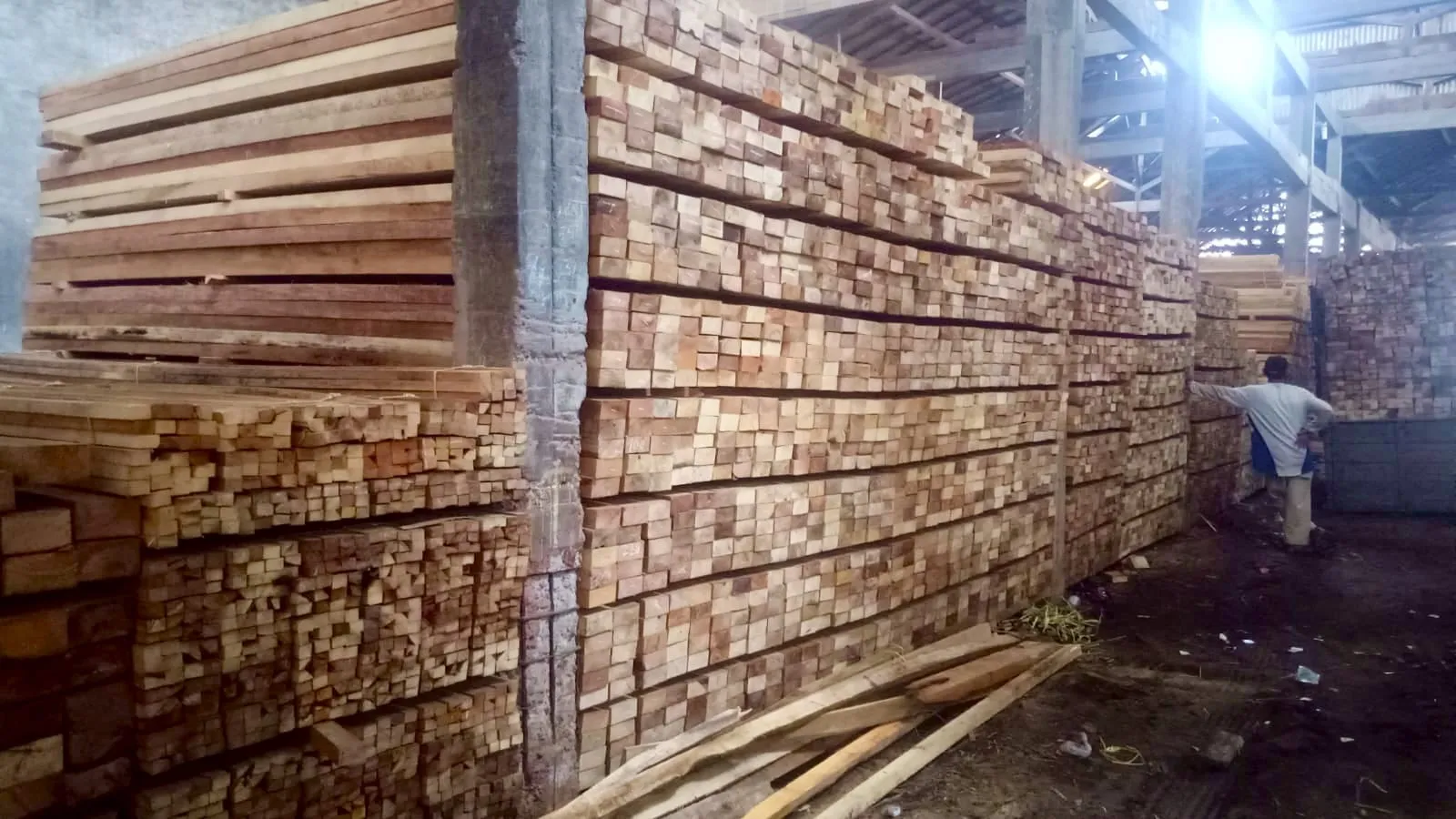 WhatsApp Image 2025-11-05 at 14.40.36 (2)