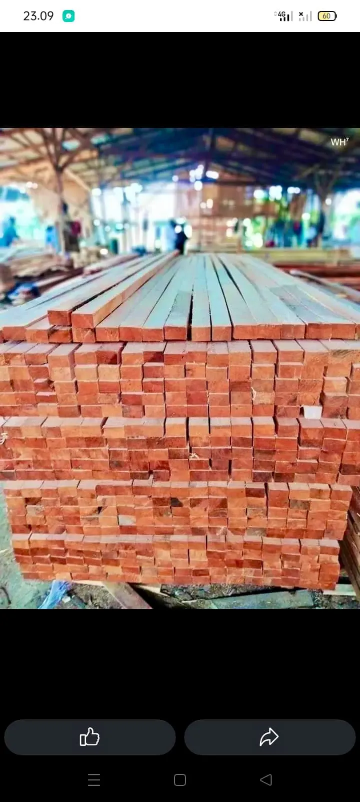 WhatsApp Image 2025-11-05 at 14.40.34 (1)