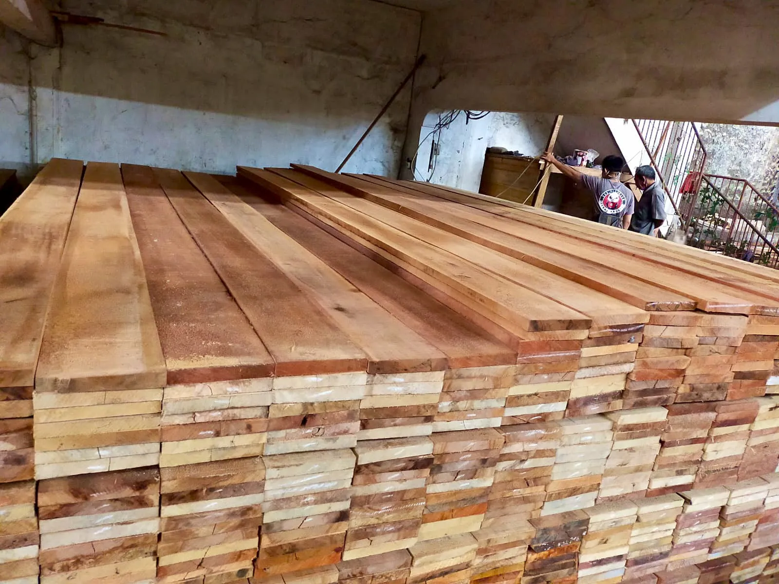 WhatsApp Image 2025-11-05 at 14.40.36