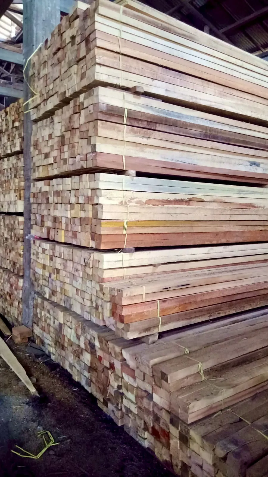 WhatsApp Image 2025-11-05 at 14.40.34