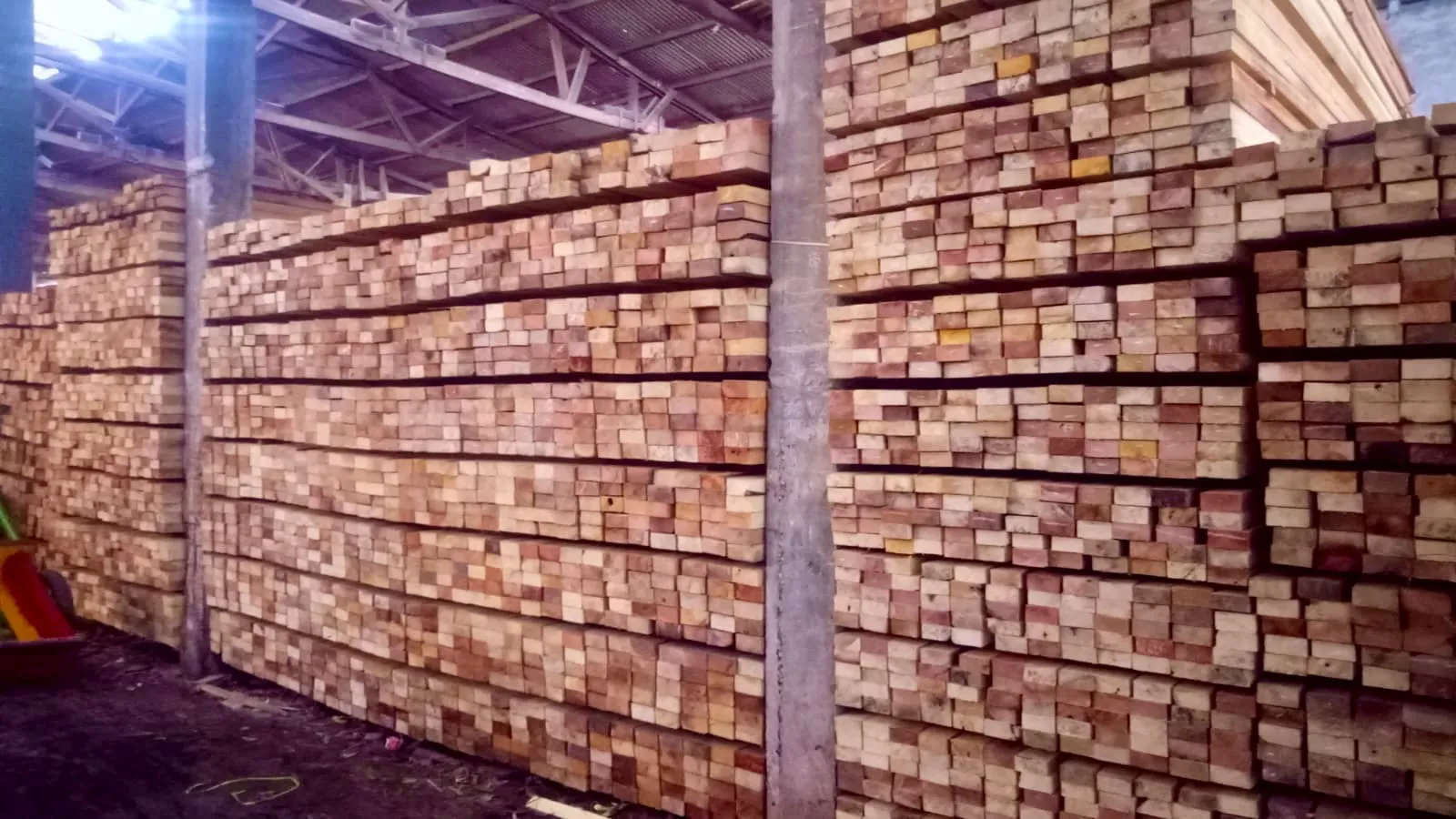 WhatsApp Image 2025-11-05 at 14.40.29 (1)