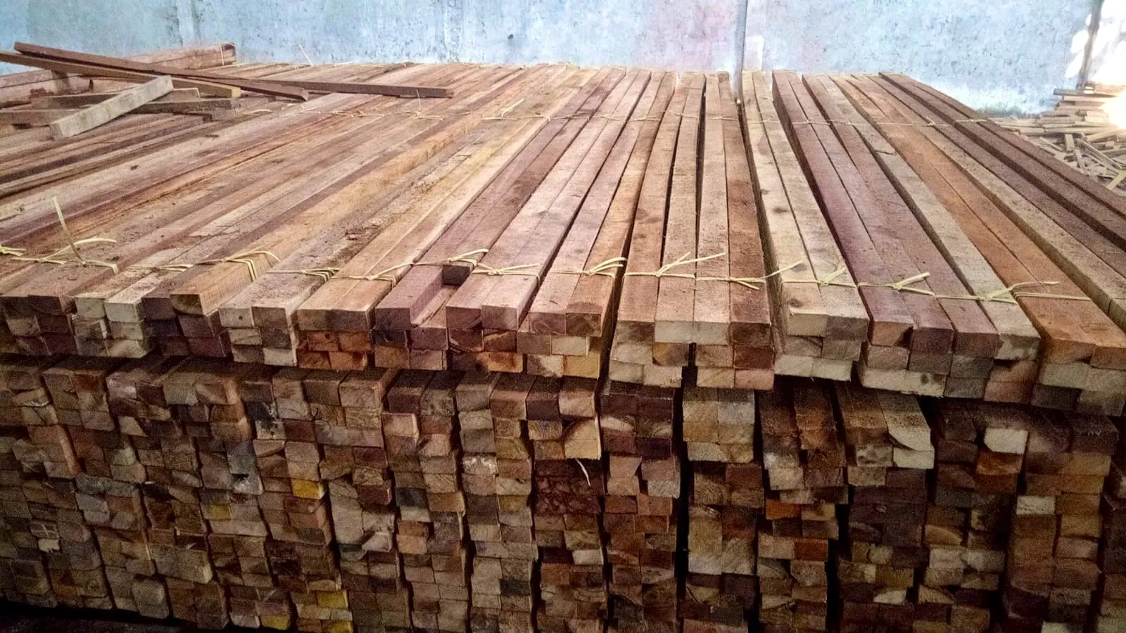 WhatsApp Image 2025-11-05 at 14.40.29