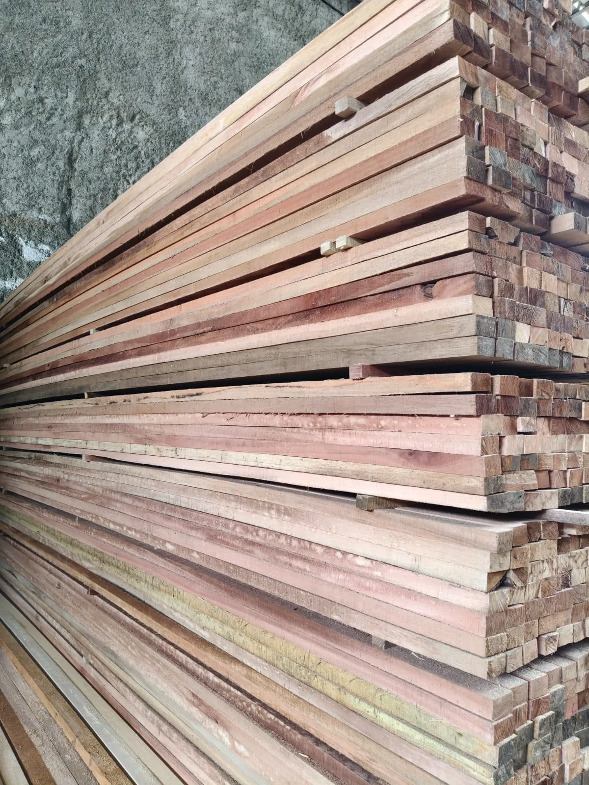 WhatsApp Image 2025-11-05 at 14.40.49