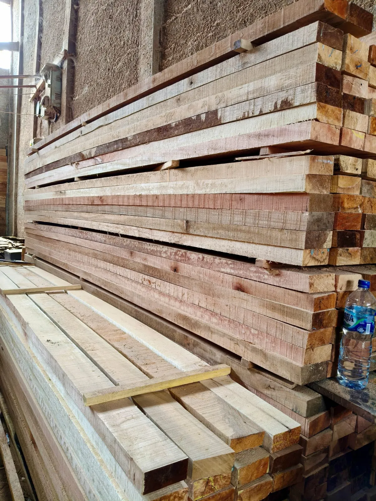 WhatsApp Image 2025-11-05 at 14.40.47 (1)