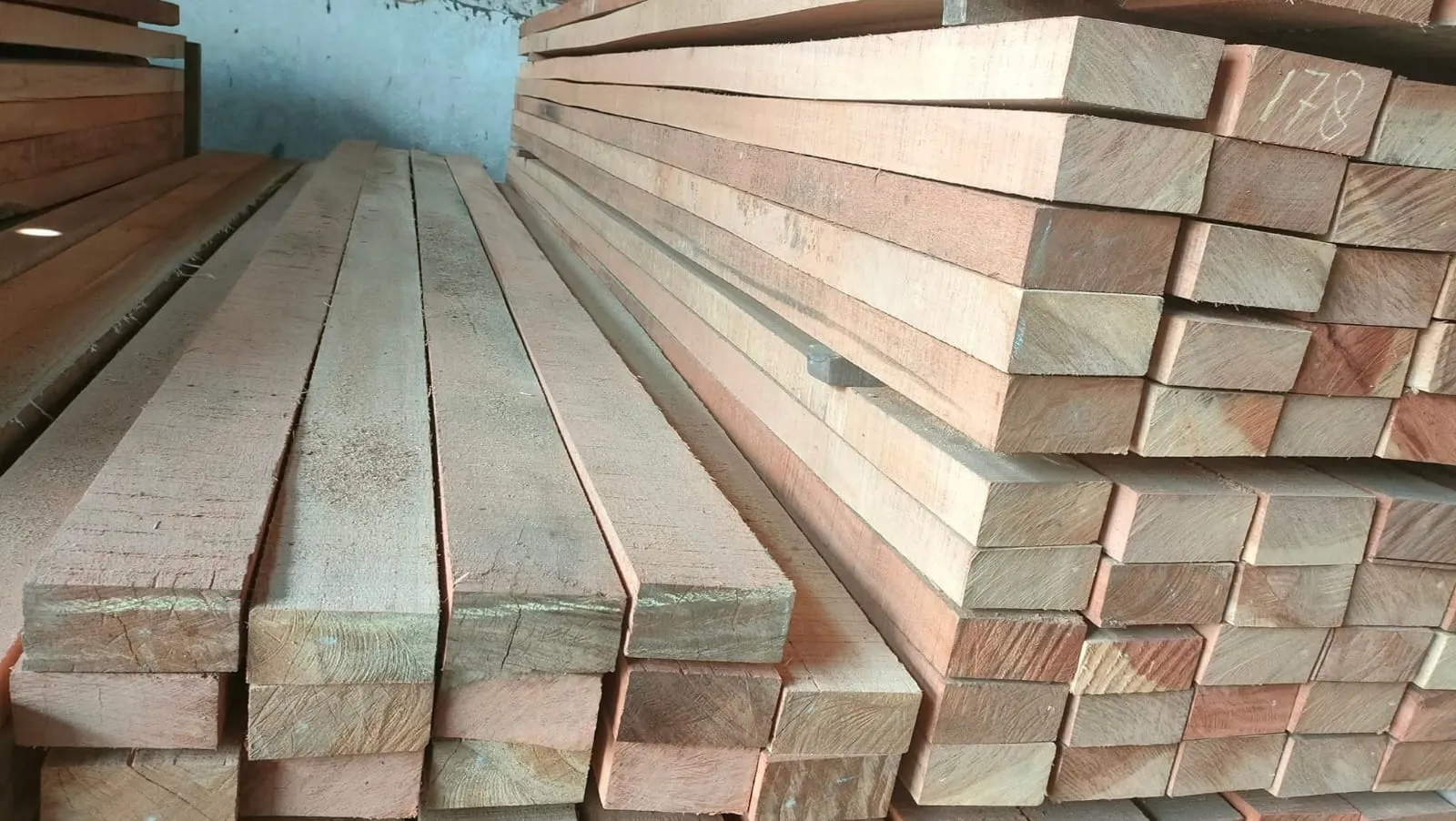 WhatsApp Image 2025-11-05 at 14.40.45 (2)