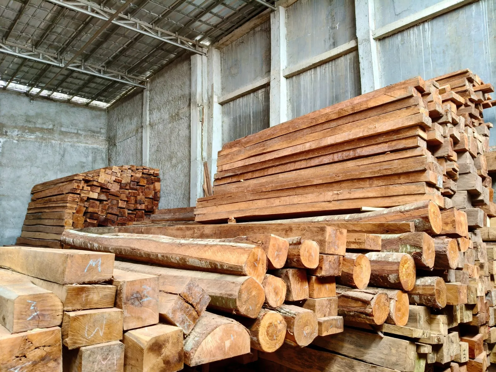 WhatsApp Image 2025-11-05 at 14.40.47