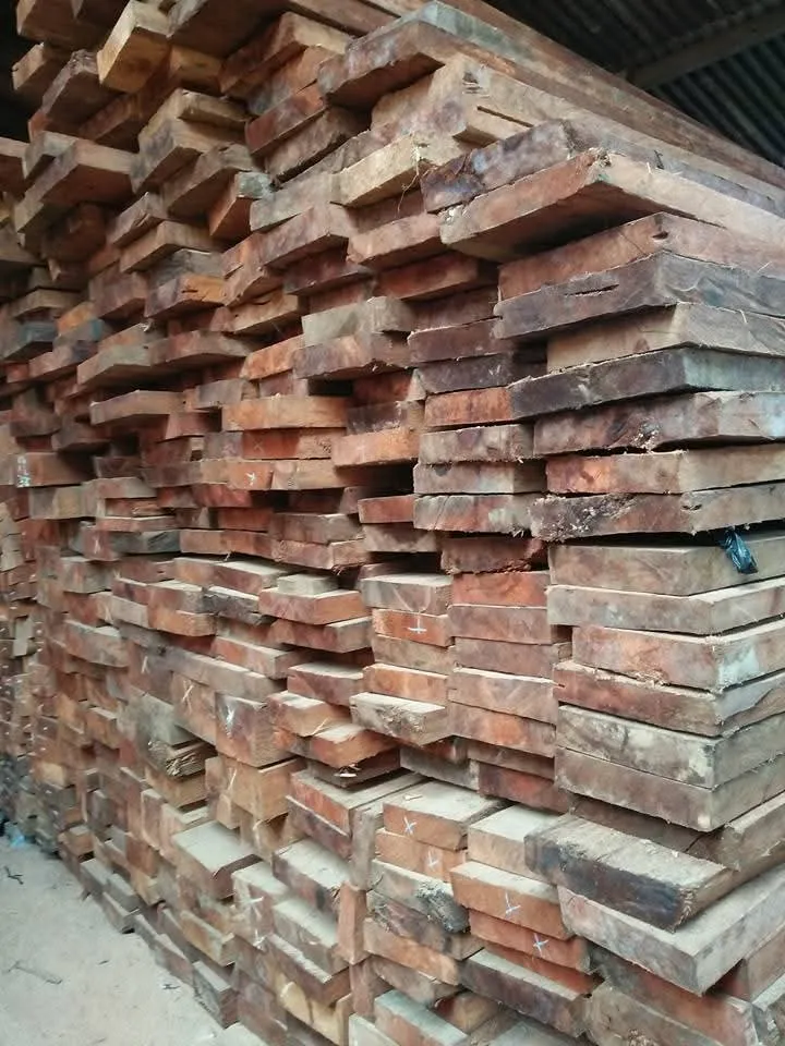 WhatsApp Image 2025-11-05 at 14.40.45 (1)