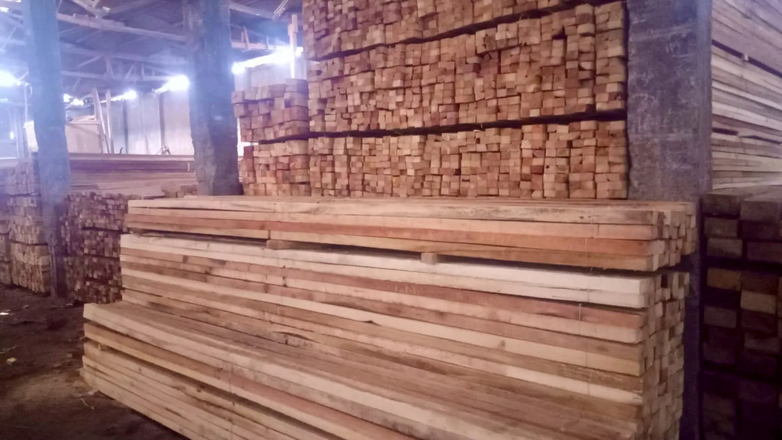 WhatsApp Image 2025-11-05 at 14.40.44 (2)