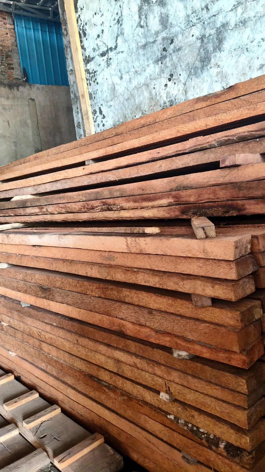 WhatsApp Image 2025-11-05 at 14.40.44