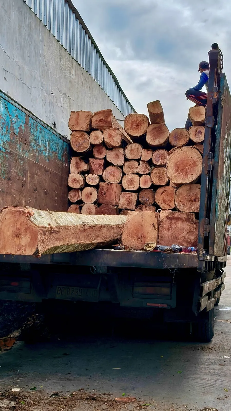 WhatsApp Image 2025-11-05 at 14.40.43 (1)