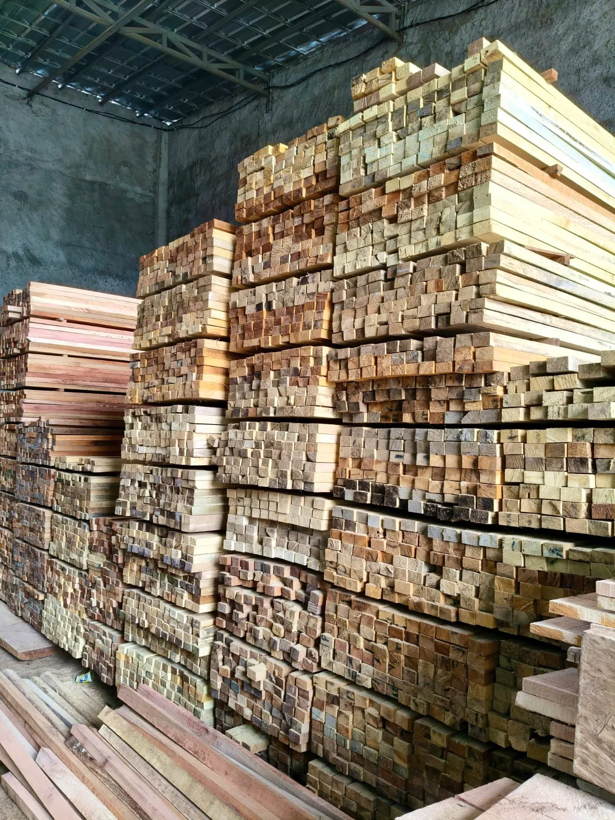 WhatsApp Image 2025-11-05 at 14.40.43