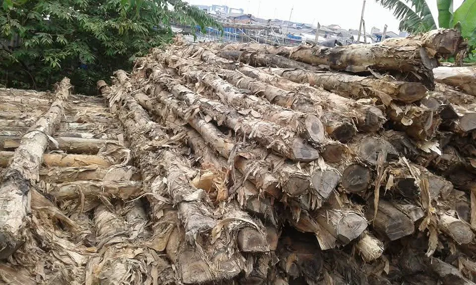 WhatsApp Image 2025-11-05 at 14.40.39 (2)