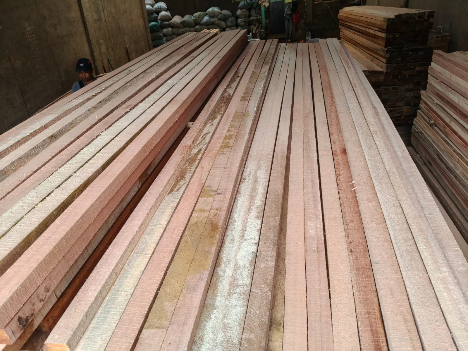 WhatsApp Image 2025-11-05 at 14.40.38 (1)