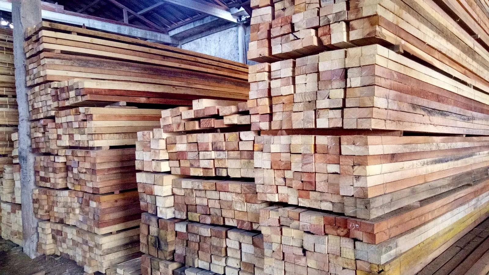 WhatsApp Image 2025-11-05 at 14.40.37 (2)