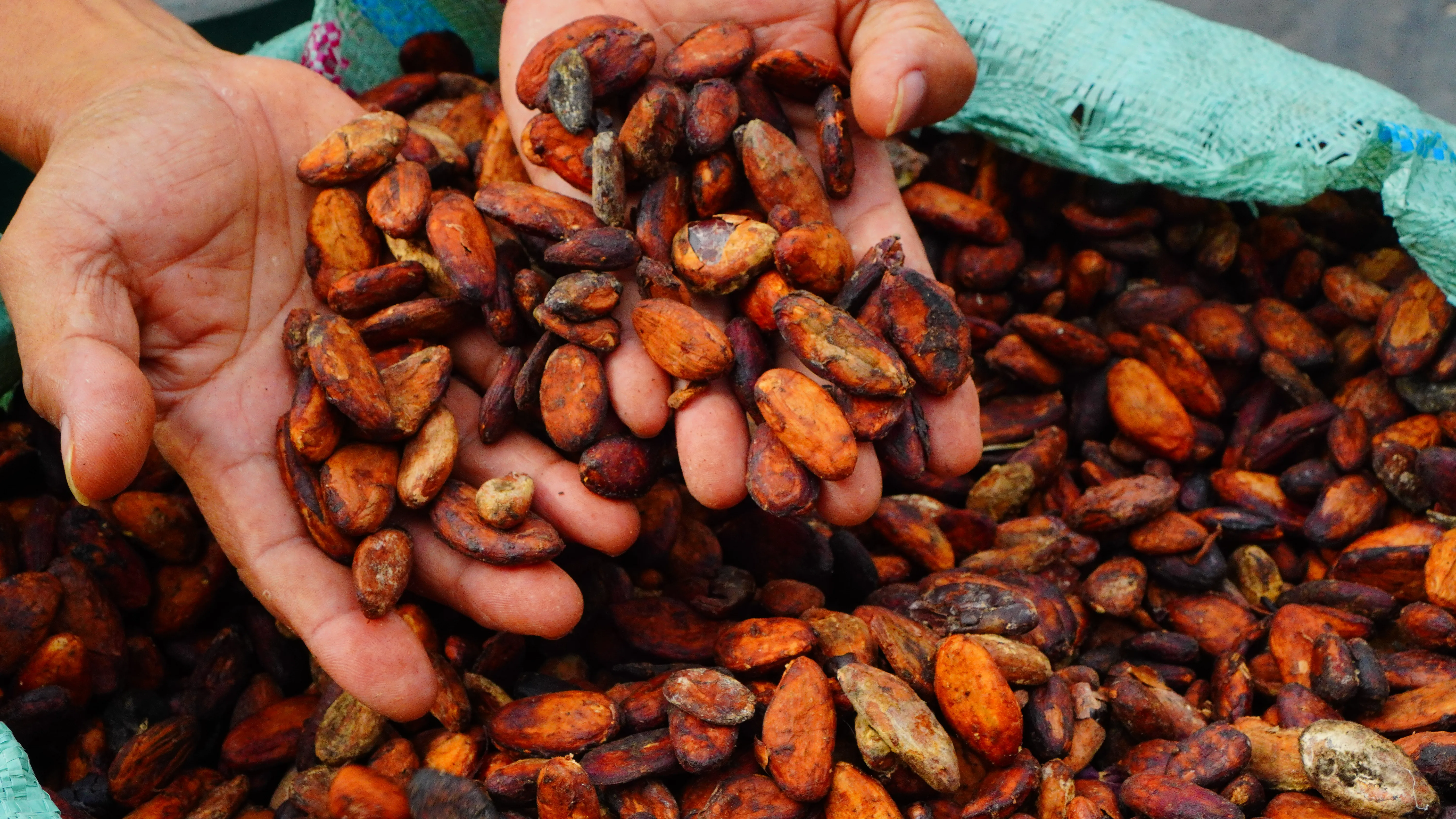 Spice products from Gayau Alam Sejahtera