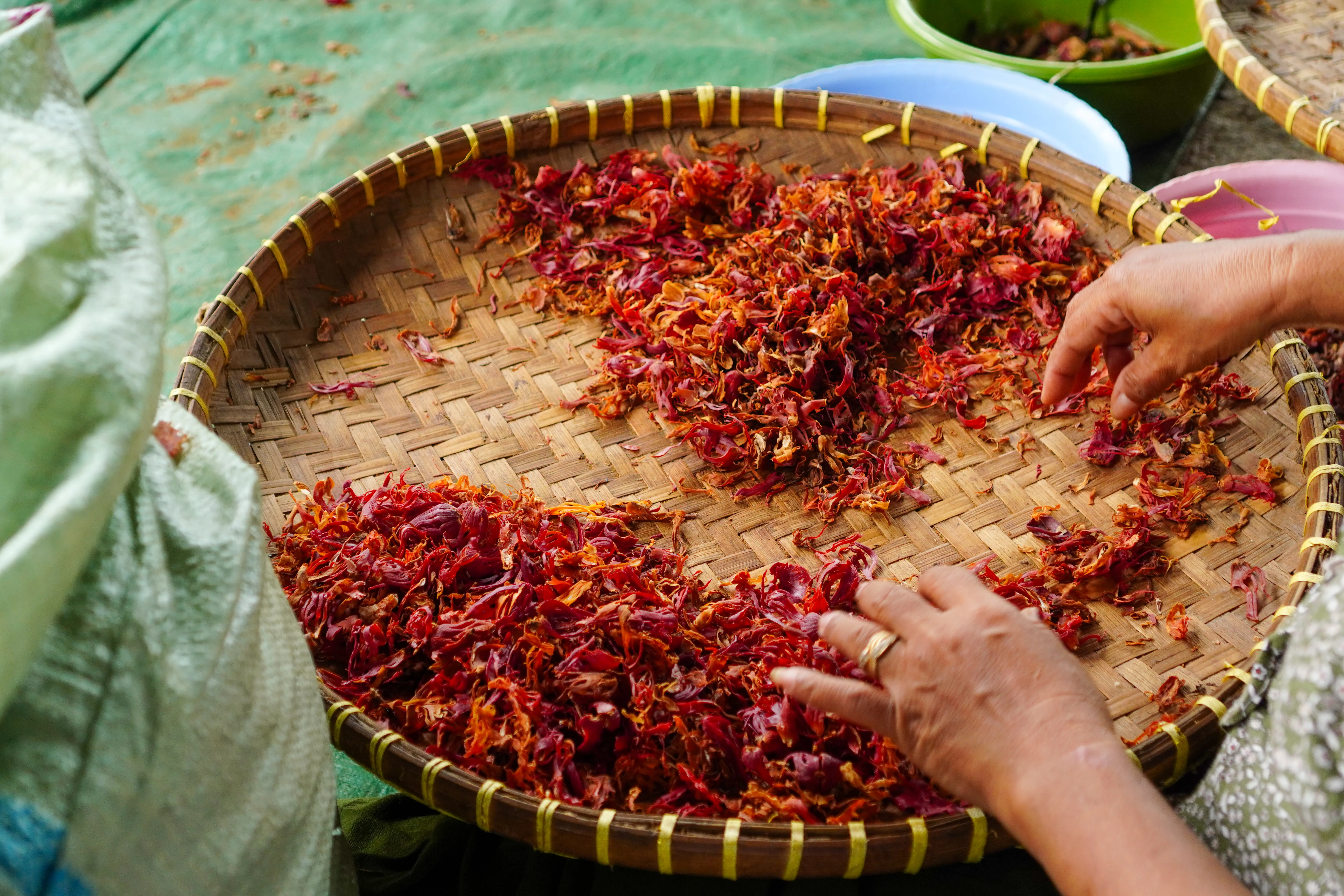 Premium spice collection