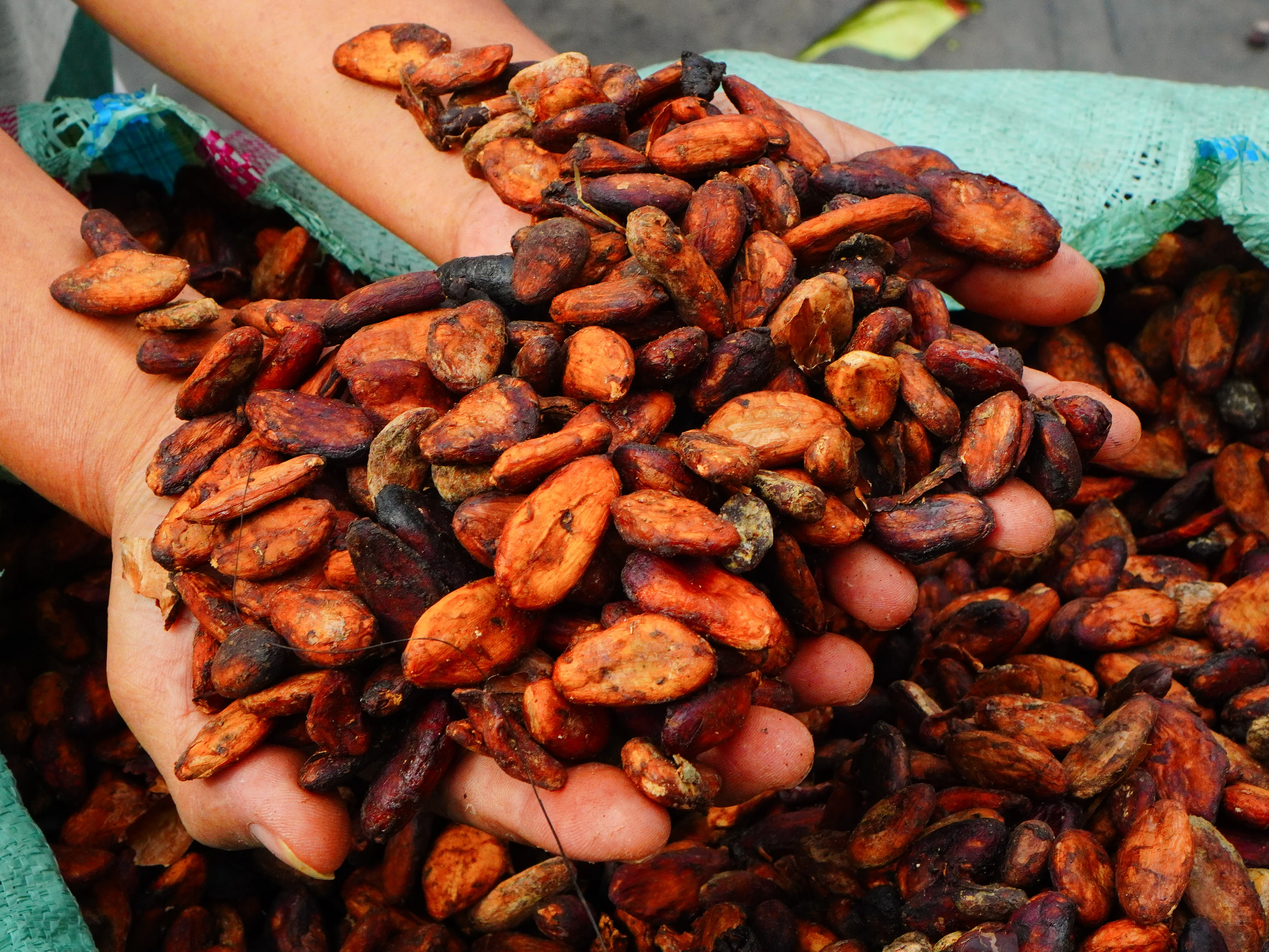 Quality spice products