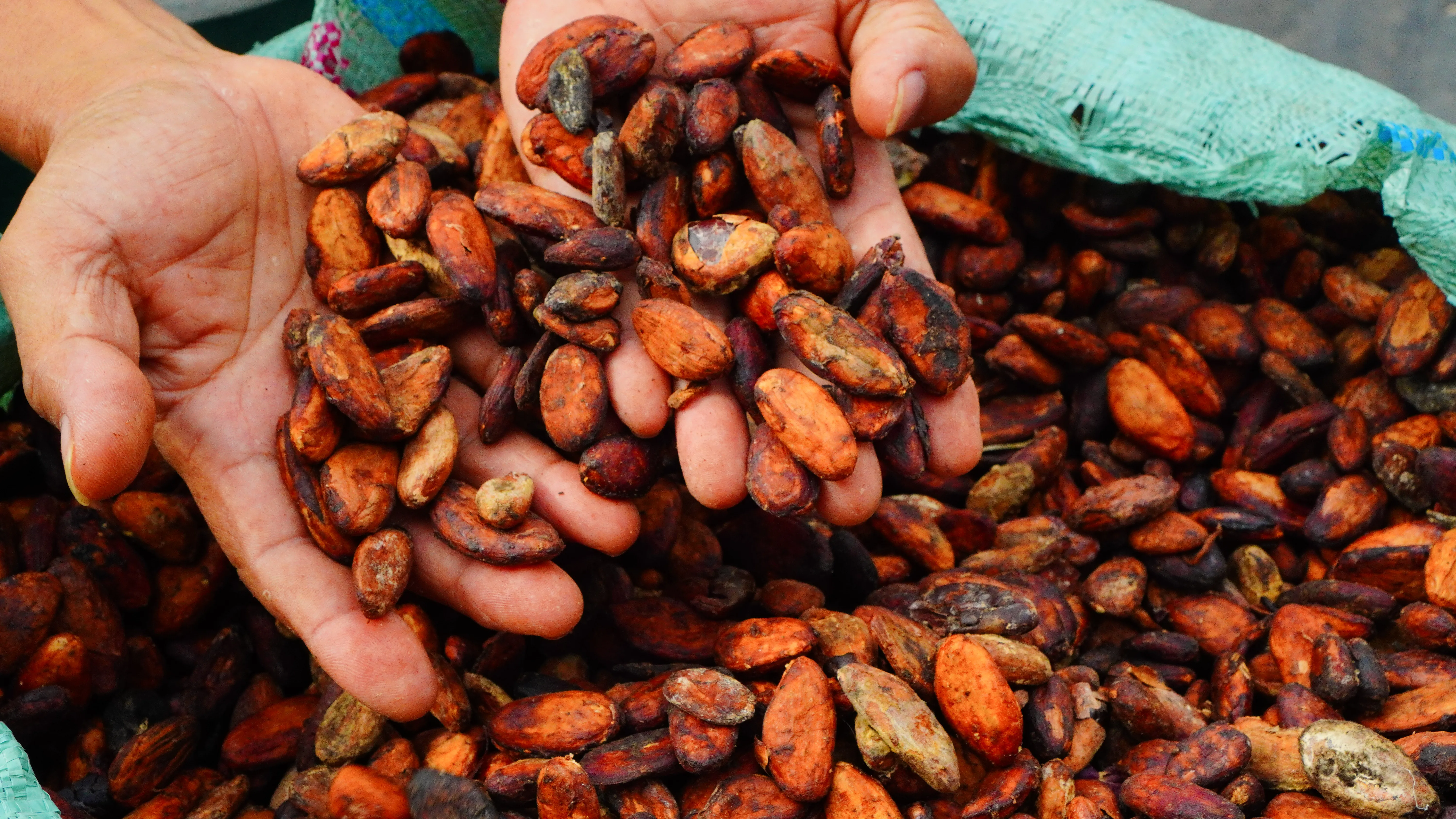 Premium Indonesian spices