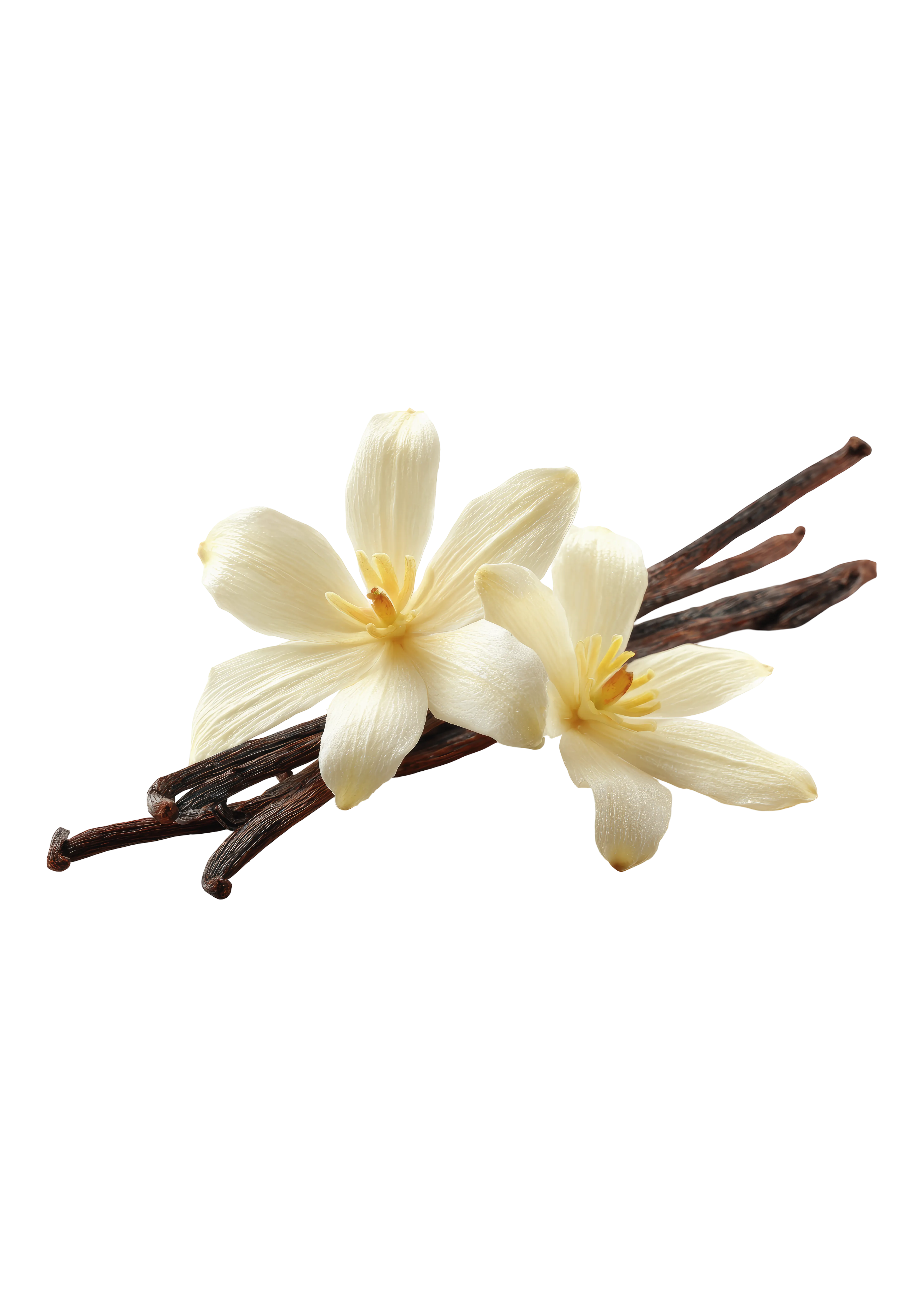 Vanilla product view
