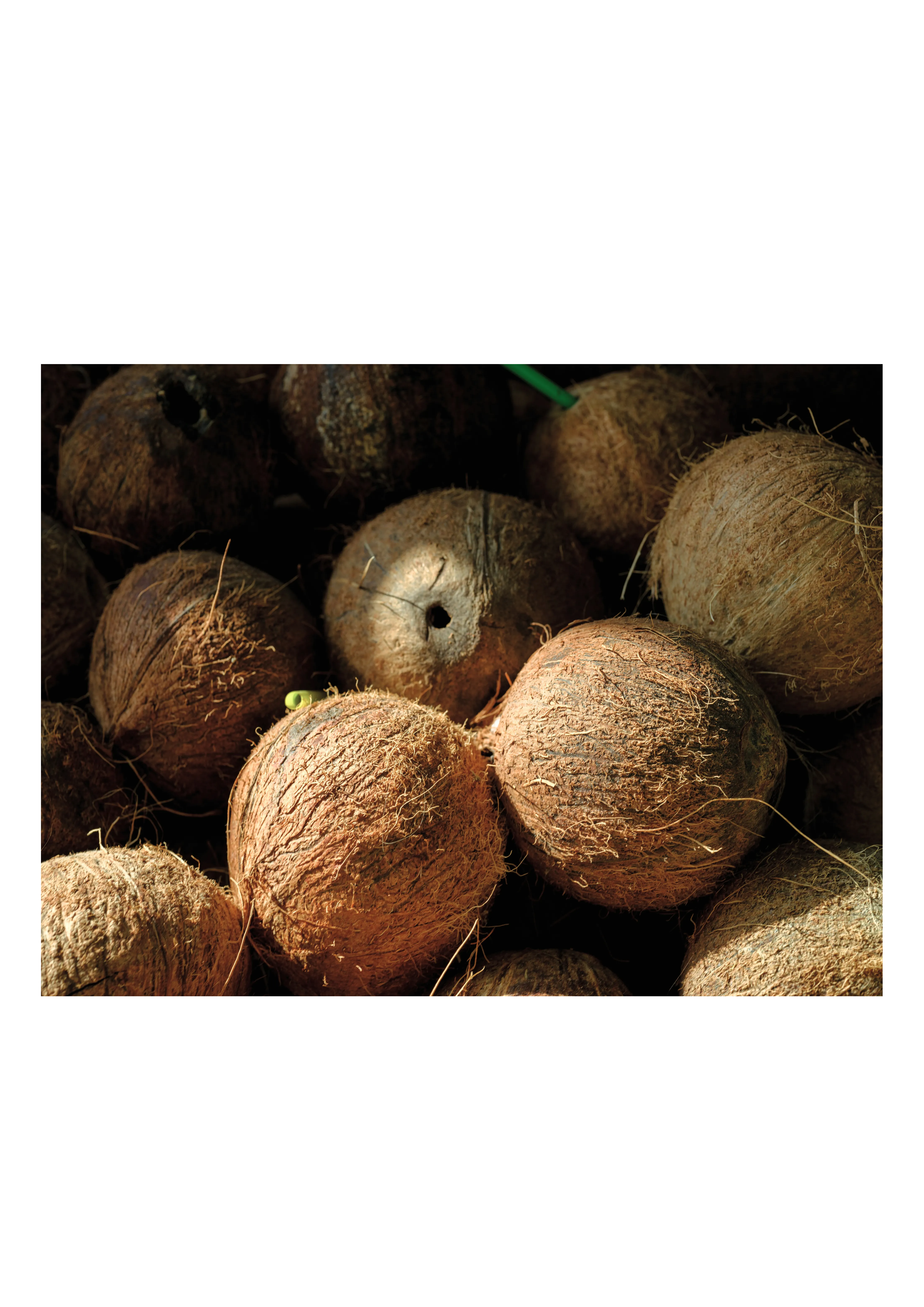 Copra product view