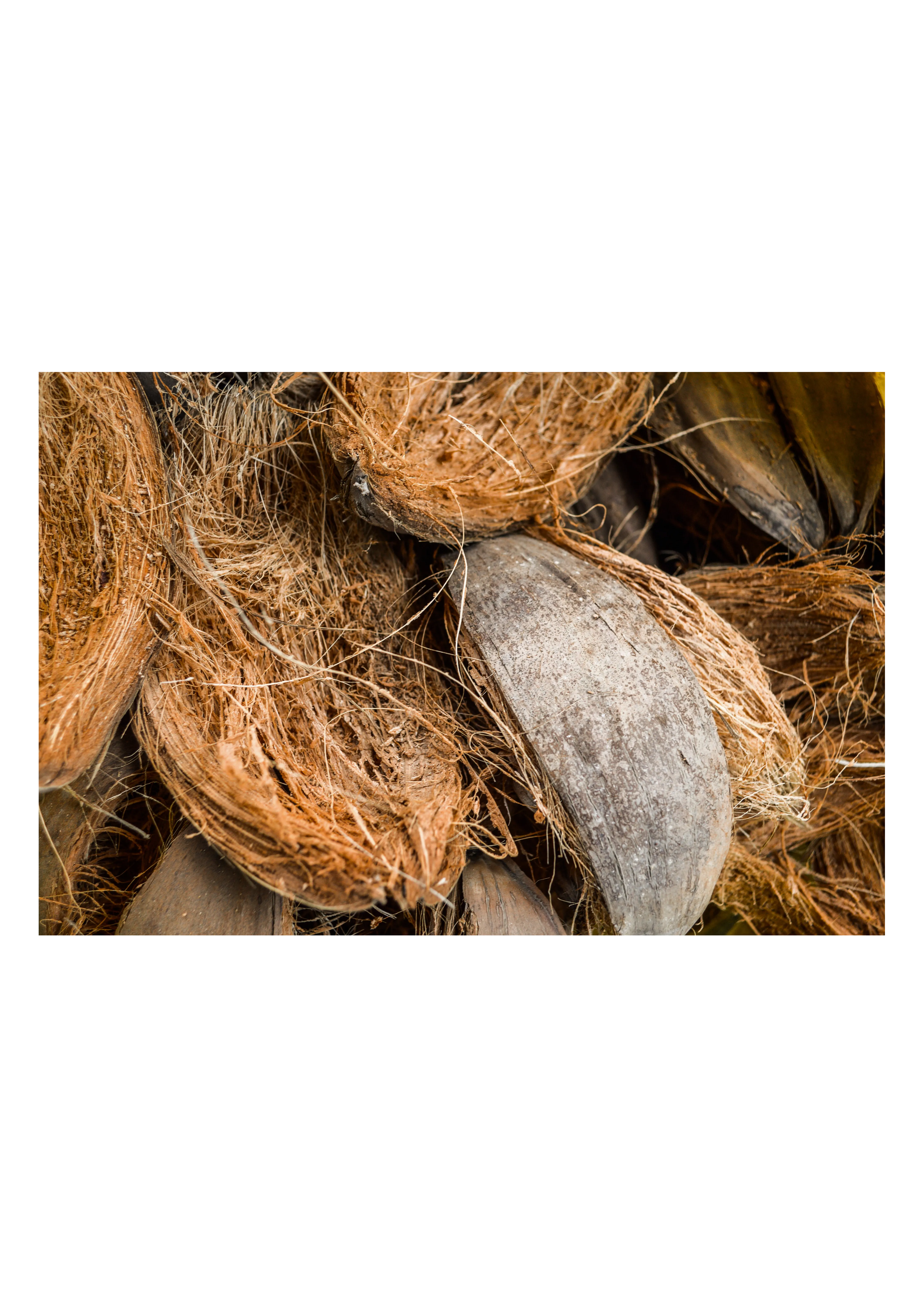 Coconut husk product view