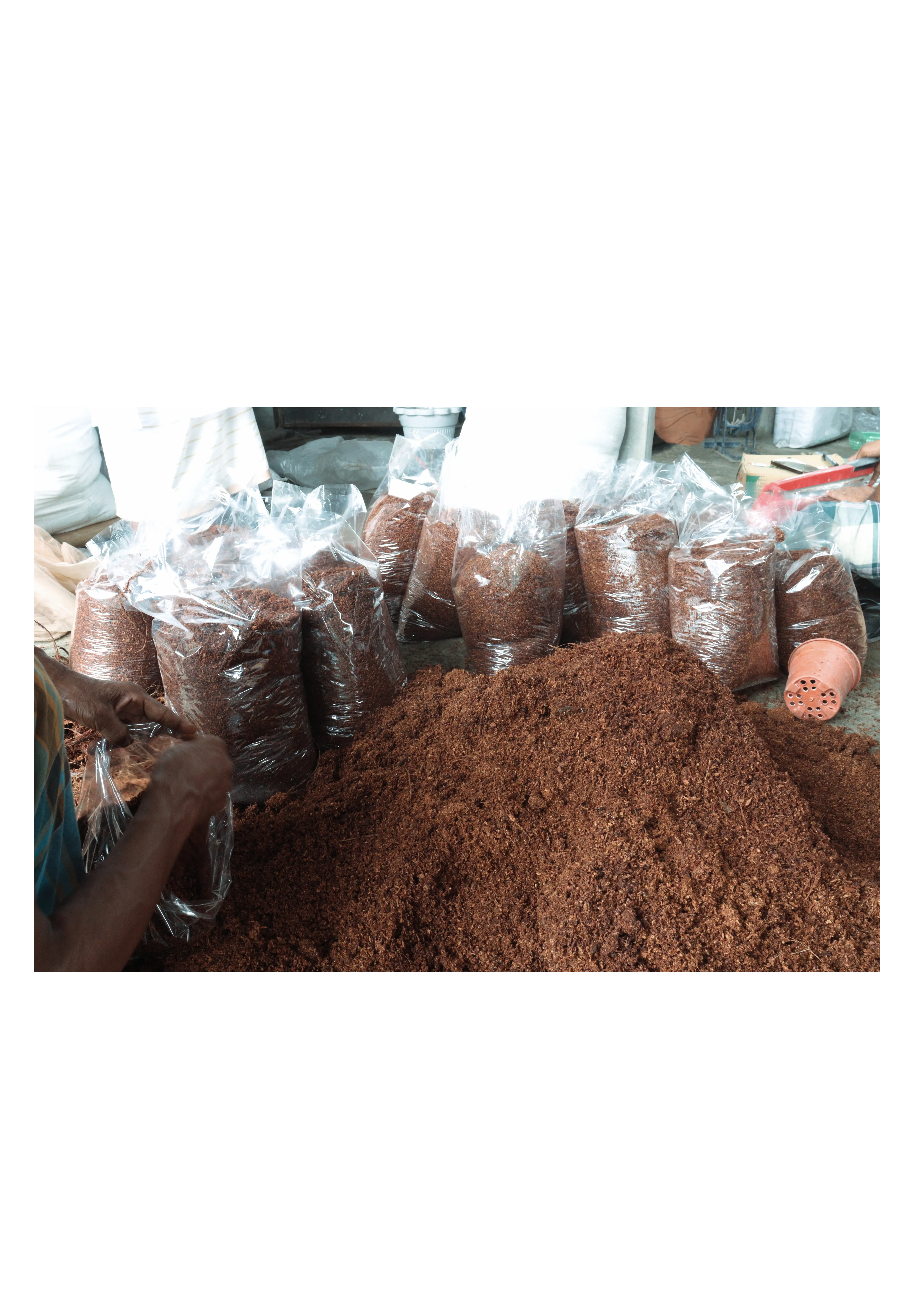 Cocopeat product view