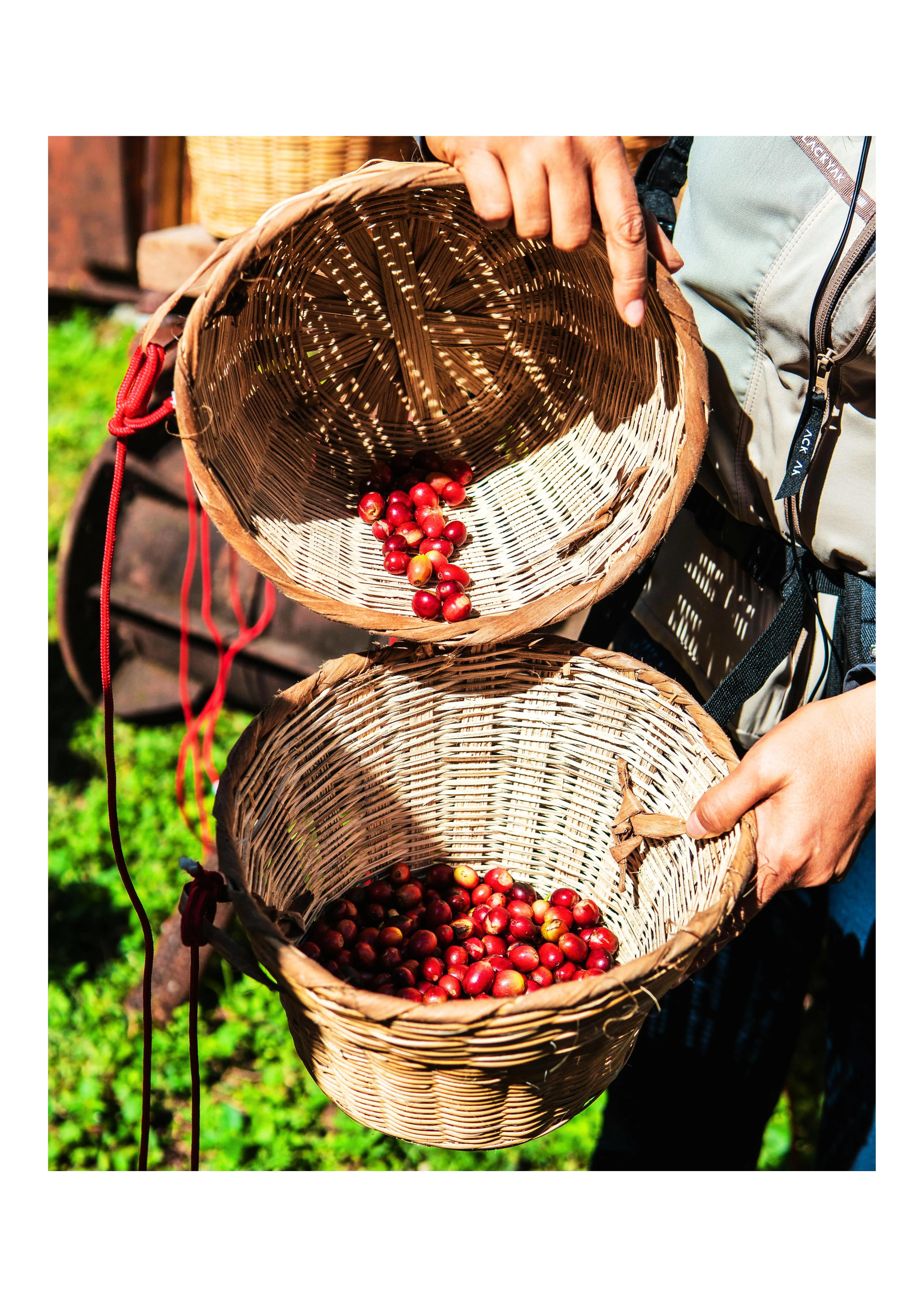 Coffee beans product view