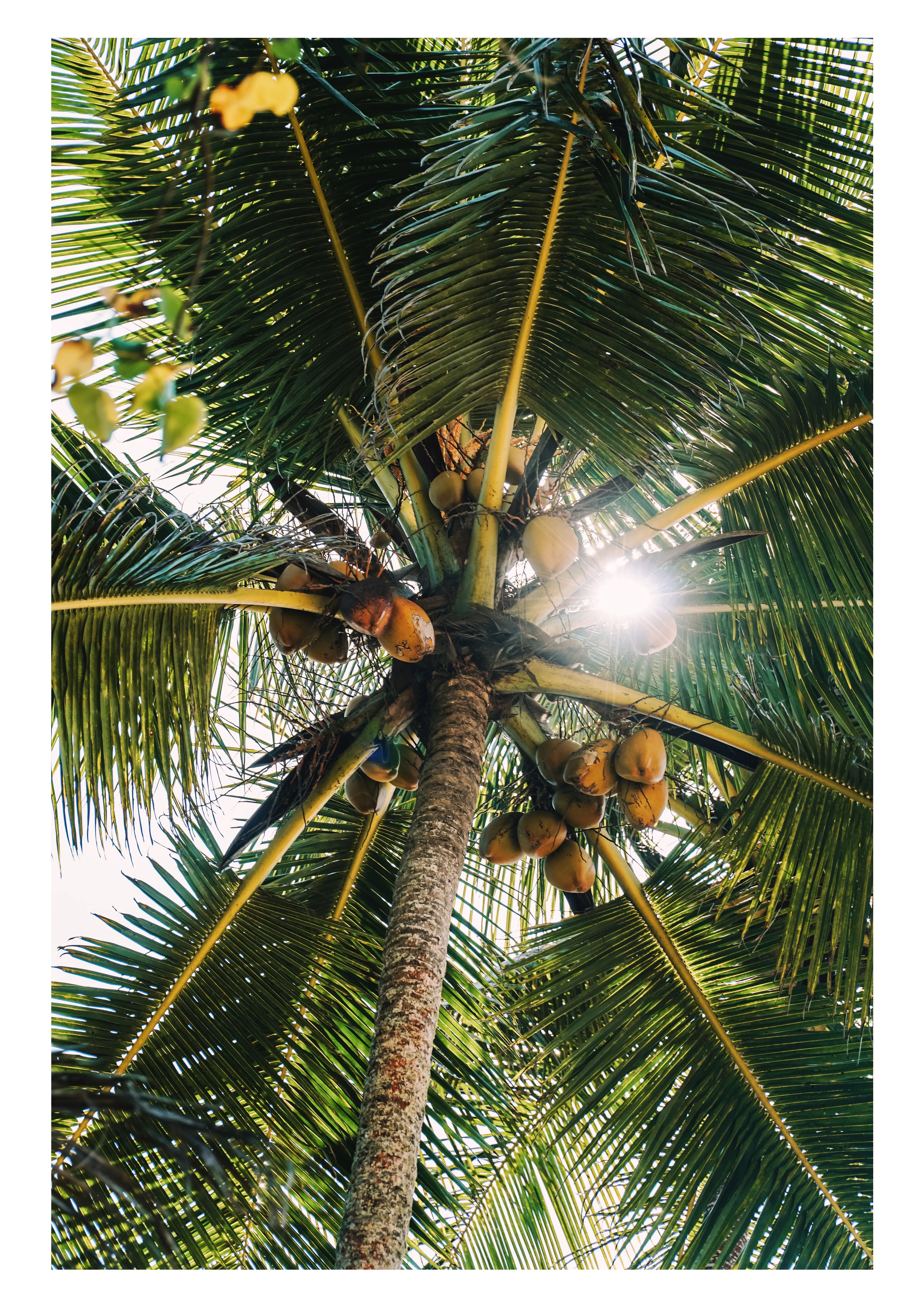 Commodity sourcing view