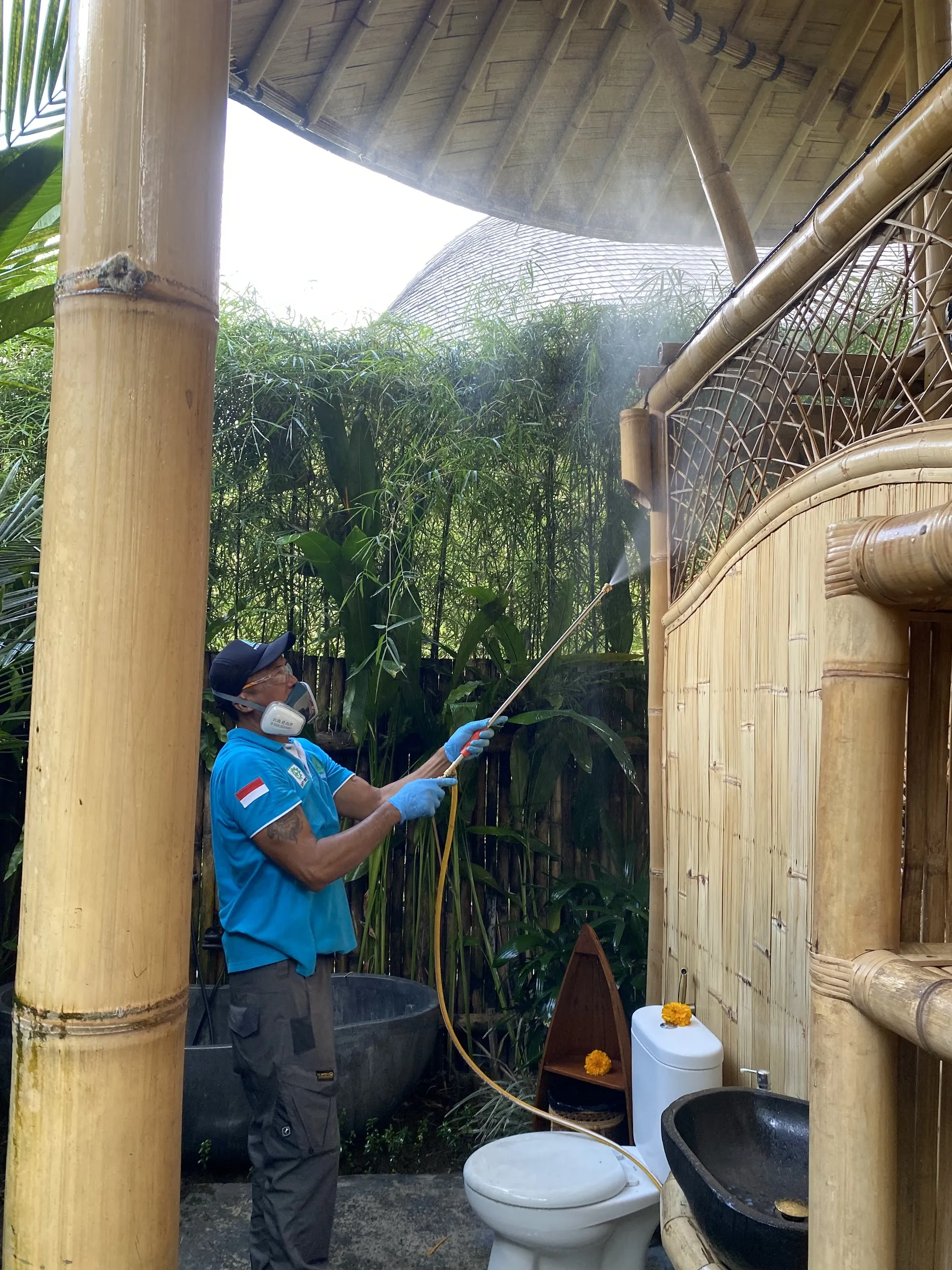 Termite Control service in Bali