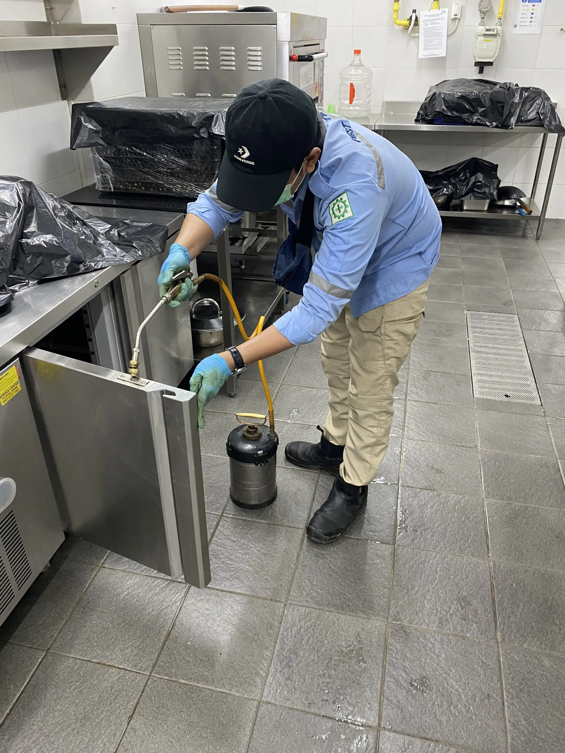 General Pest Control service in Bali