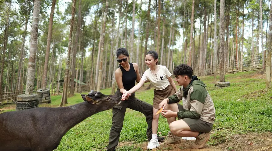 Panbil Nature Reserve in Batam