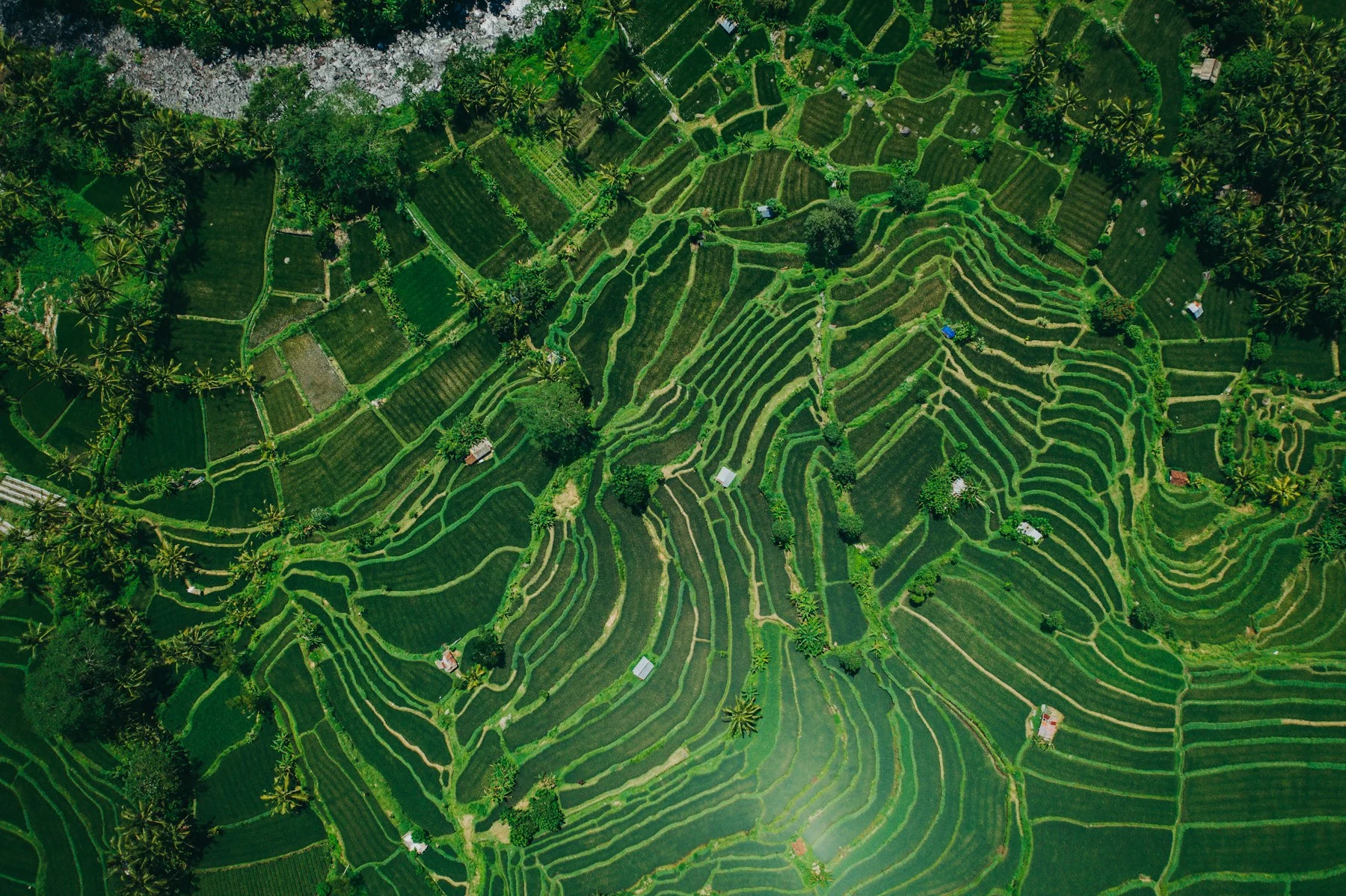 Lahan pertanian dilihat dari udara di Sidemen, Bali
